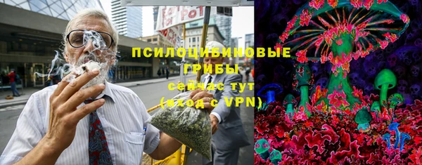 MESCALINE Каменка
