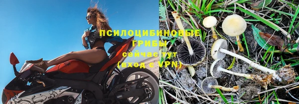 МДПВ Каменск-Шахтинский