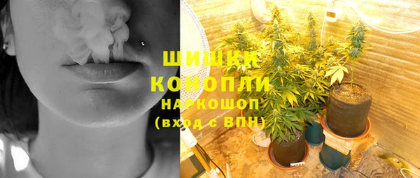 MESCALINE Каменка