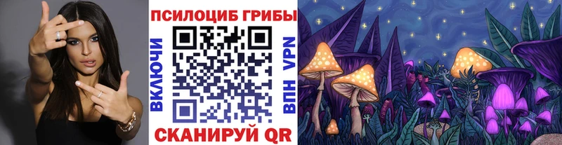Галлюциногенные грибы мухоморы  Купить  Кизилюрт 
