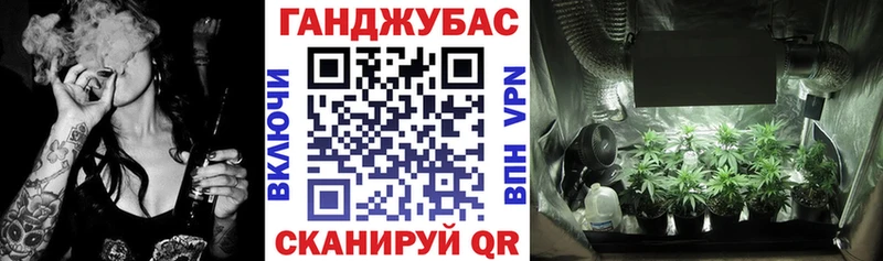 Купить  Кизилюрт  Марихуана план 